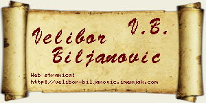 Velibor Biljanović vizit kartica